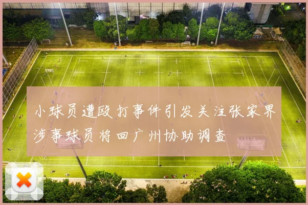 小球员遭殴打事件引发关注张家界涉事球员将回广州协助调查