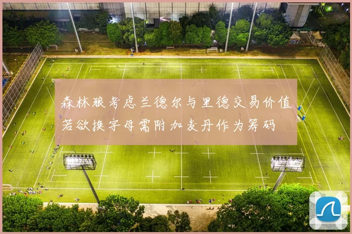 森林狼考虑兰德尔与里德交易价值若欲换字母需附加麦丹作为筹码
